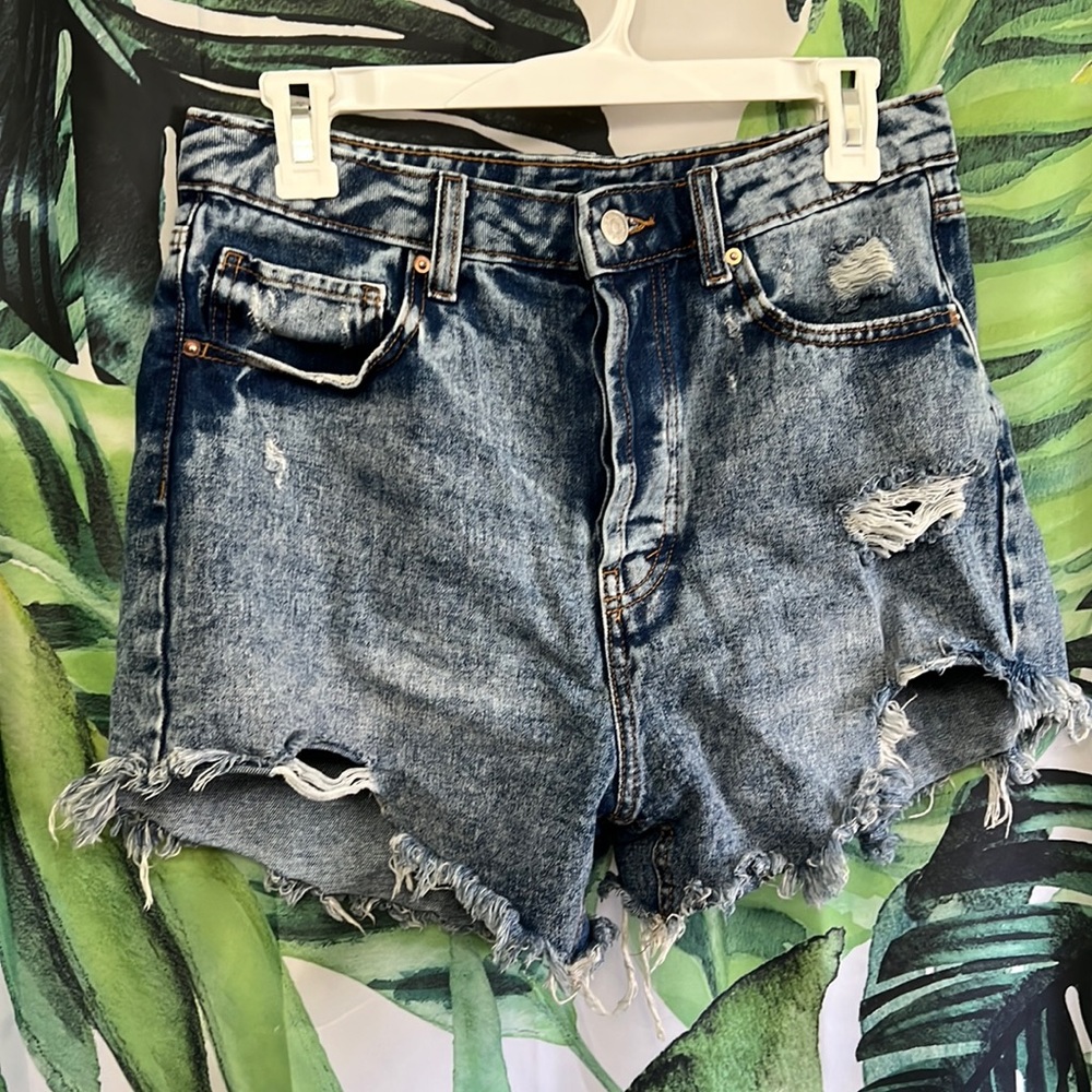 Wild fable shorts